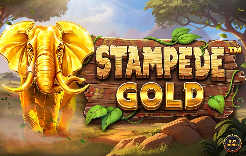 Stampede Gold slot